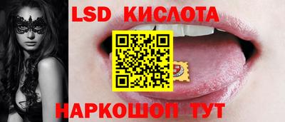 стафф Кандалакша