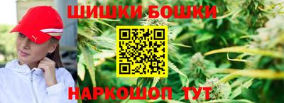 стафф Кандалакша