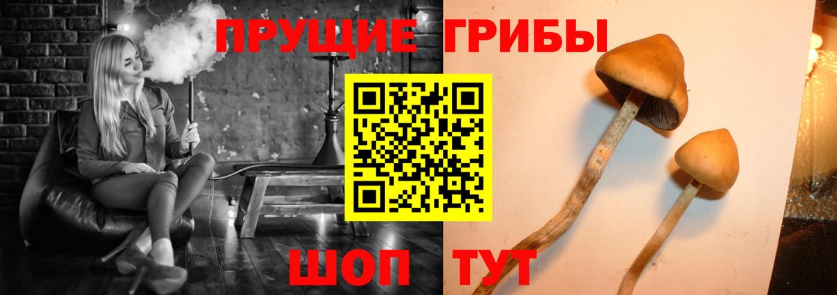 Галлюциногенные грибы Magic Shrooms Красногорск